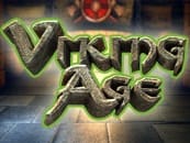 Viking Age